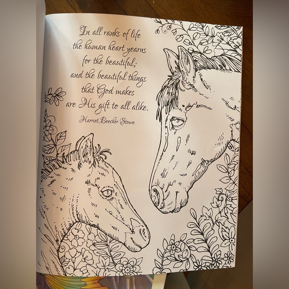 Strong Spirit Coloring Art Book - Picture 6 of 6